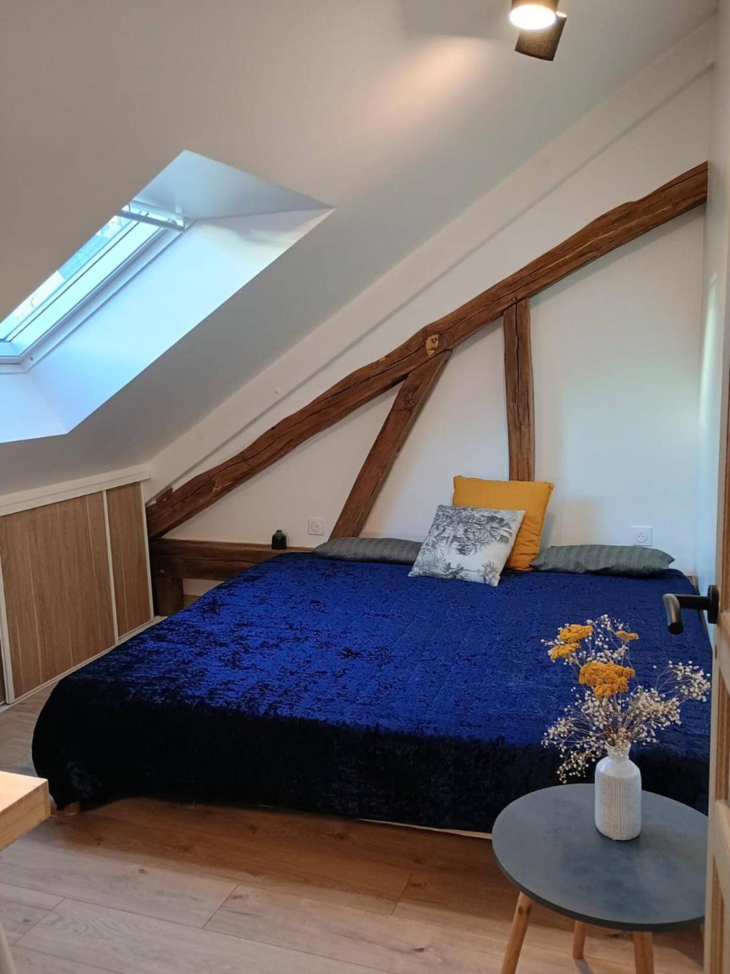 Domaine De Charme Au Coeur D'Orleans Classe 3 Etoiles - Bords De Loire - 21 Couchages Avec Parkings Prives Экстерьер фото